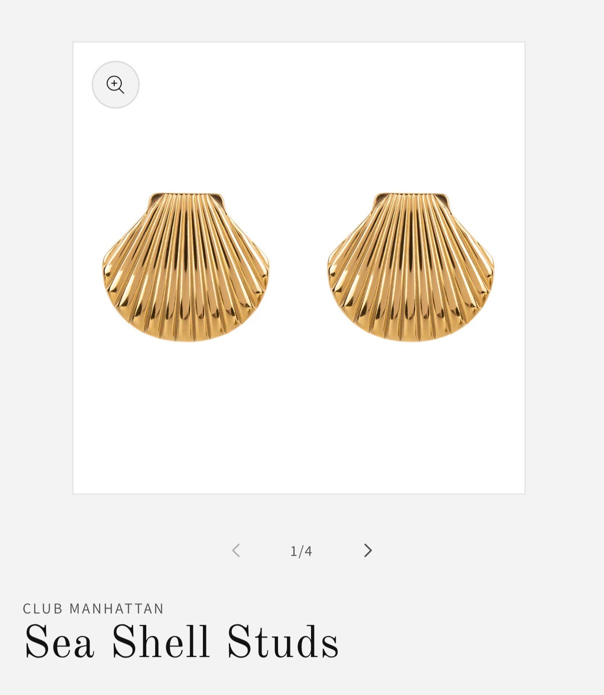 Sea Shell